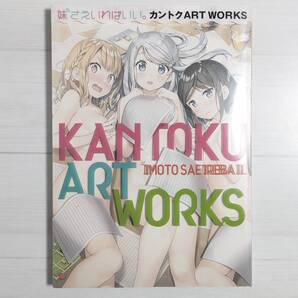 【d1145】妹さえいればいい。カントクARTWORKS
