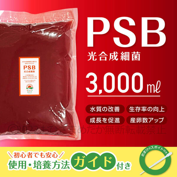 水質改善★超濃縮 psb 光合成細菌 3000ml 送料無料 ★メダカ 植物 ミジンコ クロレラ めだか エサ 餌 熱帯魚 などにに