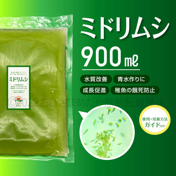SALE★ミドリムシ 900ml★ めだか メダカ 針子 エサ 稚魚 psb 金魚 ミジンコ クロレラ ゾウリムシ などに 培養解説付き