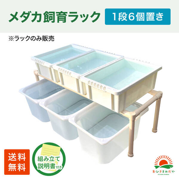 SALE★メダカ飼育白ラック 1段6個置き★ めだか飼育棚NVBOX13 めだか容器産卵撮影 ビオトープゾウリムシPSB針子タマミジンコにどうぞ