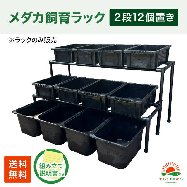 SALE★メダカ飼育黒ラック 2段12個置き★ めだか飼育棚NVBOX13 めだか容器産卵撮影 ビオトープゾウリムシPSB針子タマミジンコにどうぞ