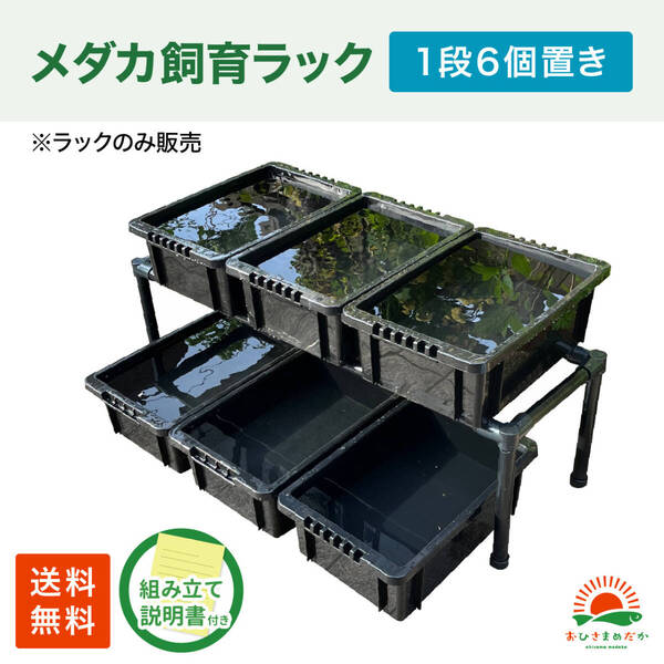 SALE★メダカ飼育黒ラック 1段6個置き★ めだか飼育棚NVBOX13 めだか容器産卵撮影 ビオトープゾウリムシPSB針子タマミジンコにどうぞ