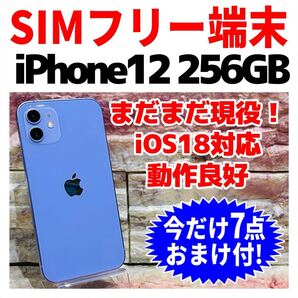 SIMフリー iPhone12 256GB 1306 パープル バッテリー良好