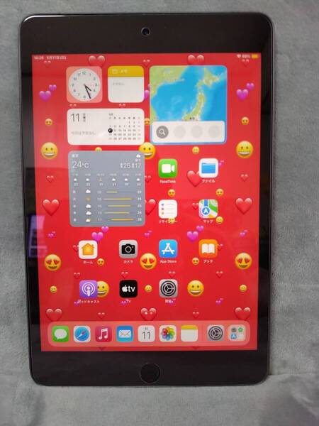 《超美品》ipad mini5(第5世代)A2124 Wi-Fi + Cellularモデル 最新ios18.4.1 256GB スペースグレイ SIMロック解除済