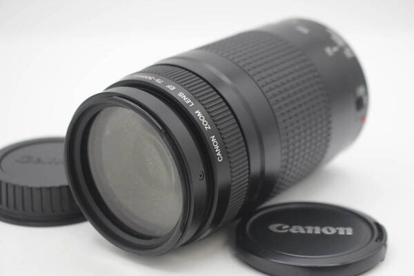 送料無料◆Canon キャノン EF 75-300mm F4-5.6 II◆1522-0514
