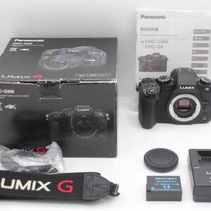 新品級◆Panasonic LUMIX DMC-G8 ボディ◆元箱付♪1668-0515