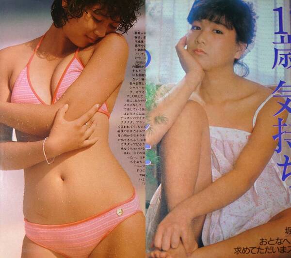 堀ちえみ 超大量 240P ファイル 4冊 切り抜き 1982年〜1987年