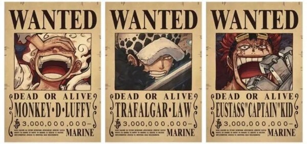 ワンピース ONEPIECE ニカルフィ 手配書 懸賞金ポスター 3船長