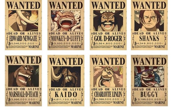 ワンピース ONEPIECE 手配書 ポスター 懸賞金