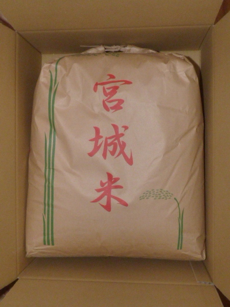 新米 もち米(餅米) 令和6年 宮城県産 こがねもち白米25kg(袋含む) 米袋の状態で発送