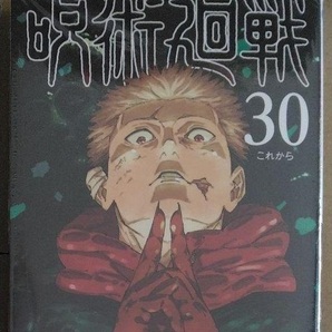 初版帯付き未開封希少品 呪術廻戦 30巻