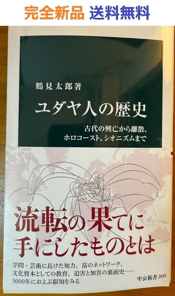 完全新品 ユダヤ人の歴史 古代の興亡から離散、ホロコースト、シオニズムまで