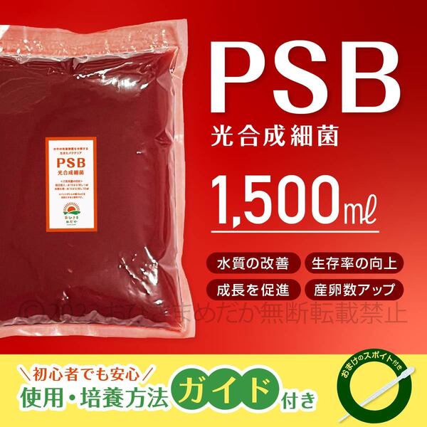 SALE【PSB 光合成細菌 1500ml 送料無料】メダカ 植物 ミジンコ ゾウリムシ培養 バクテリア クロレラ 金魚 らんちゅう ベタ 稚魚