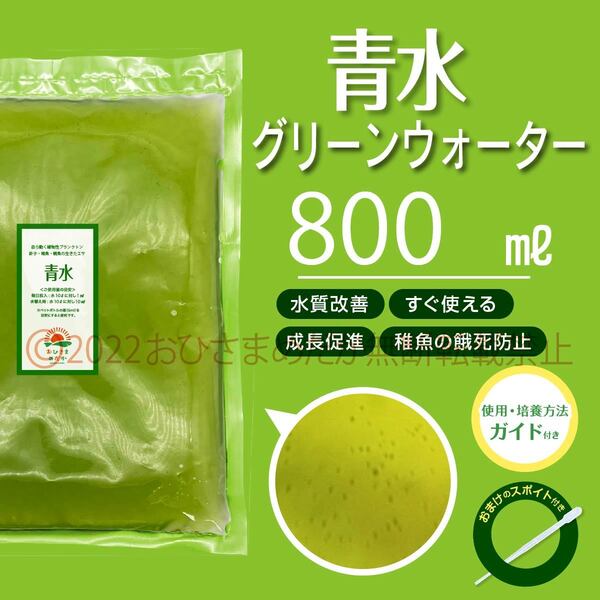 簡単便利【青水 グリーンウォーター 800ml】メダカ めだか 金魚 熱帯魚 ミジンコ ゾウリムシ PSB 針子にどうぞ スポイト付き