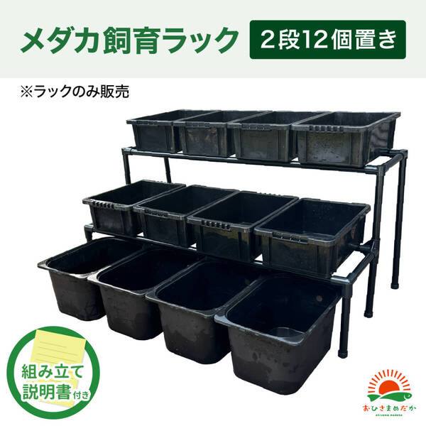 ★メダカ飼育黒ラック 2段12個置き★ めだか飼育棚 容器棚 めだか容器産卵撮影ビオトープゾウリムシPSBミジンコ培養針子にどうぞ