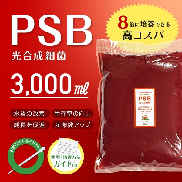 【8倍コスパ PSB 光合成細菌 3000ml 送料無料】メダカ ミジンコ ゾウリムシの培養 クロレラ 金魚 らんちゅう ベタ 稚魚 に