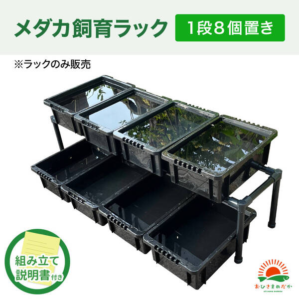 ★メダカ飼育黒ラック 1段8個置き★ めだか飼育棚 容器棚 めだか容器産卵撮影ビオトープゾウリムシPSBミジンコ培養針子にどうぞ