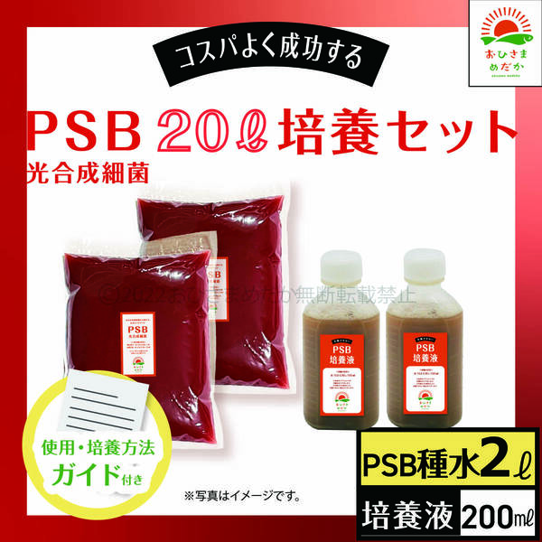 【PSB培養液 20L培養セット 】光合成細菌 バクテリア メダカ 金魚 ミジンコ ゾウリムシ クロレラ ミジンコ らんちゅう グッピー