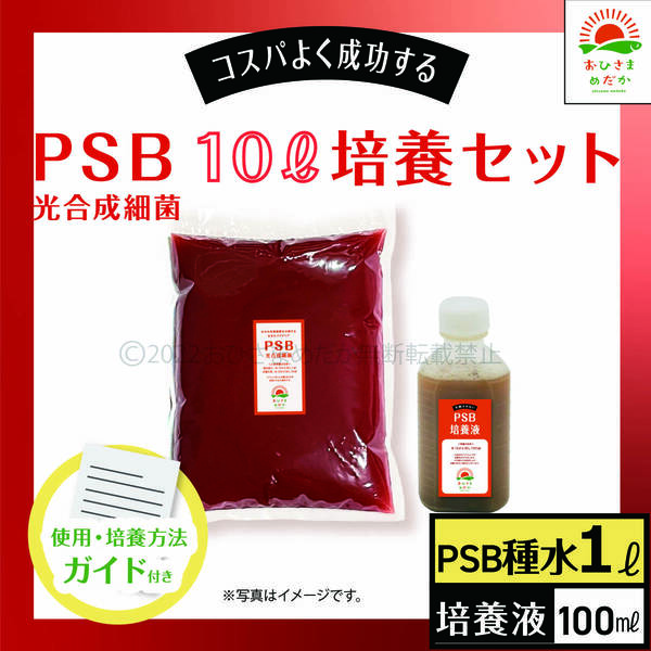 【PSB培養液 10L培養セット 送料無料】光合成細菌 メダカ 金魚 ミジンコ ゾウリムシ クロレラ ミジンコ らんちゅう グッピーに最適
