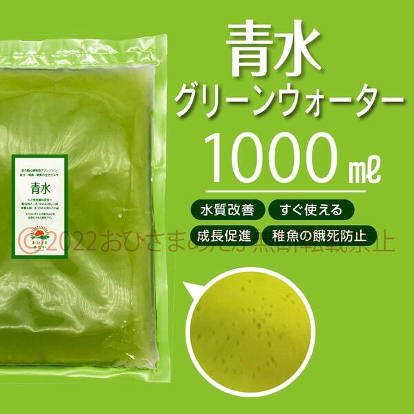 初心者からプロ【青水 グリーンウォーター 1000ml】メダカ めだか卵 金魚 熱帯魚 ミジンコ ゾウリムシ ミドリムシ PSB どうぞ