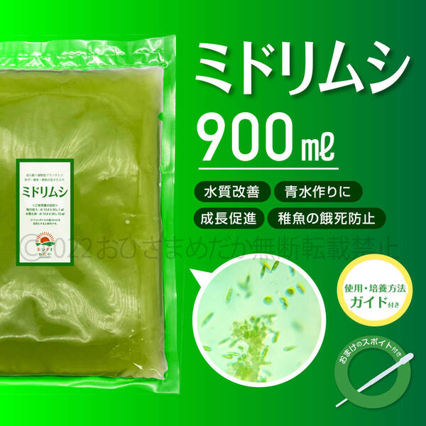 【ミドリムシ 種水 900ml 送料無料】 めだか メダカ 針子 エサ 稚魚 ベタ psb 金魚 ミジンコ クロレラ ゾウリムシ などに