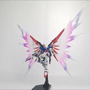 RG 1/144 ディスティニーガンダム&デスティニーインパルス用光の翼
