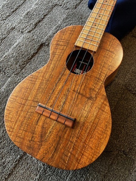 カマカ HF-2 Kukui 未使用新品 ギグケースプレゼント