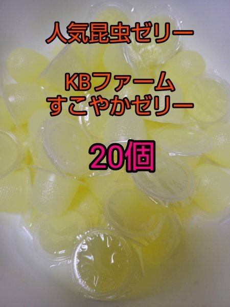 【人気昆虫ゼリー】すこやかゼリー16g 20個 クワガタ カブトムシ オオクワ ドルクスゼリー プロゼリー KBファーム モモンガ ハムスター