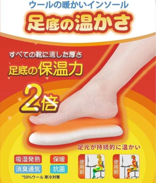 22.5cm〜28cm【あったか インソール】 暖かい 中敷き 防寒 保温 冷え性 靴 ふわふわ N6-26