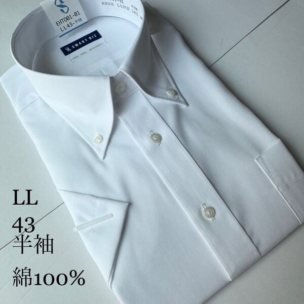 半袖ワイシャツ★LLサイズ43★ノーマルタイプ★綿100%★超形状安定★ノーアイロン★SMART BIZ