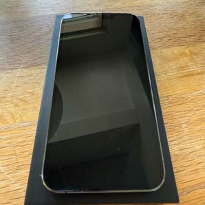iPhone 13 Pro 1TB docomo版 SIMロック無し