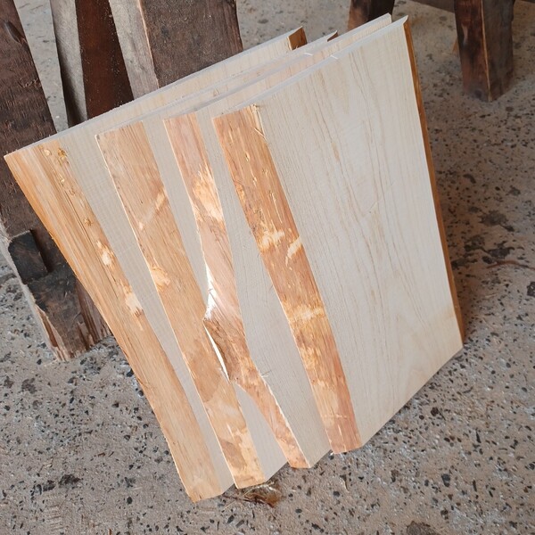 A-2199【サイズ色々】 国産ひのき 耳付板 4枚セット まな板 看板 一枚板 無垢材 桧 檜 DIY