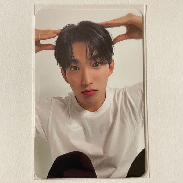 SEVENTEEN DK ドギョム 17 IS RIGHT HERE DEAR盤 封入 トレカ 1枚 検) セブチ カラット フォトカード シナモン シナモロール