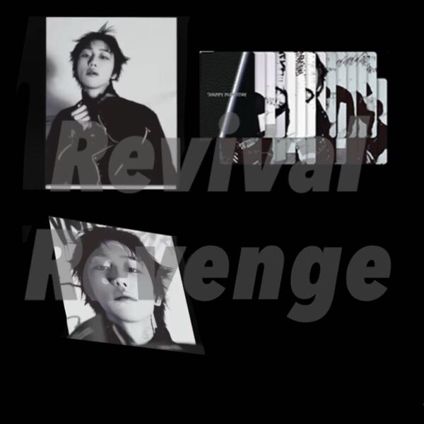 SEVENTEEN THE8 ミンハオ HAPPY BURSTDAY DAREDEVIL バインダー トレカ 24枚 検) セブチ フォトカード