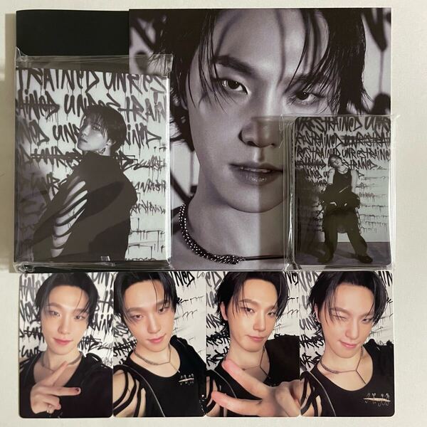 SEVENTEEN ディノ HAPPY BURSTDAY DAREDEVIL バインダー トレカ 28枚 コンプ 検) セブチ フォトカード