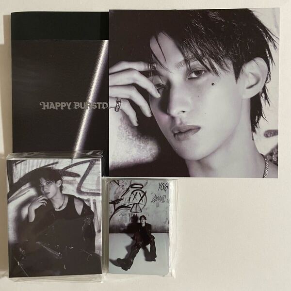SEVENTEEN DK ドギョム HAPPY BURSTDAY DAREDEVIL バインダー トレカ 24枚 検) セブチ フォトカード