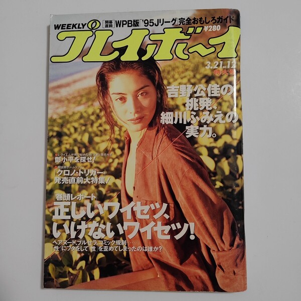 週刊プレイボーイ No.12 平成7年3月21日