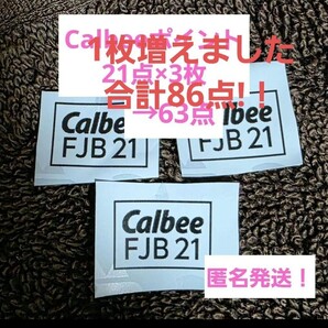 送料無料!匿名発送 カルビー ファンタスティックキャンペーン 応募券 21点× 3枚 63点→86点