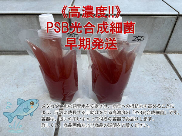 PSB光合成細菌 500ml 扱い易いキャップ付きパウチ入り【送料込】_36005
