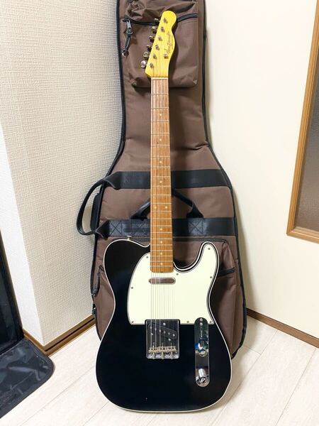 VanZandt TLV-R2 BLACK テレキャスター ソフトケース付き ローズ指板 ラッカー塗装 PGM 国産