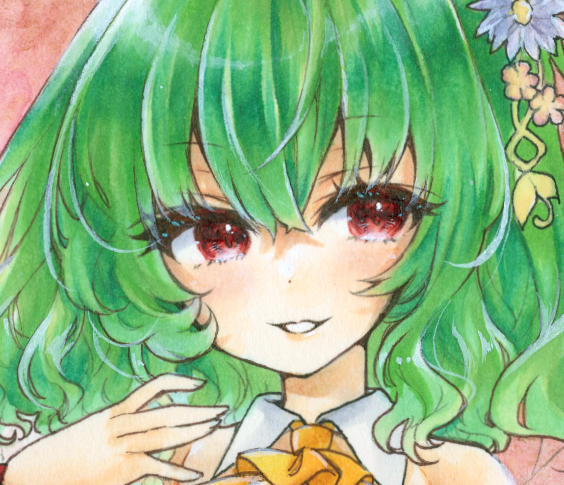 Yahoo!オークション - 同人手描きイラスト 東方Project/風見幽香