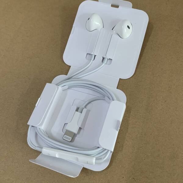 送料無料 アップル純正 iphoneイヤホン Lightning 有線イヤホン