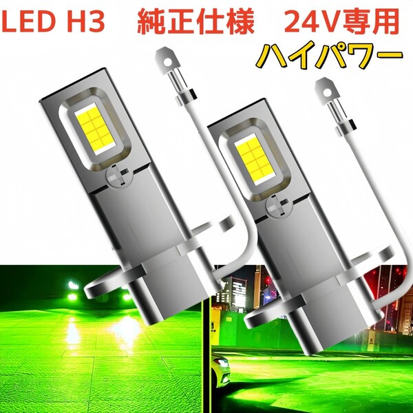 H3LED H3C 車 フォグランプ 24V 爆光 ヘッドライト グリーン アップルグリーン ライムグリーン 緑 ライト バルブ LED h3