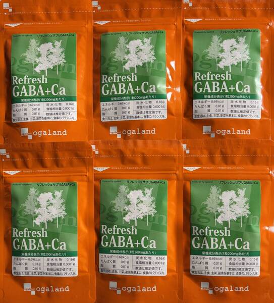 【送料無料】GABA+Ca 約6ヶ月分(1ヶ月分90粒入×6袋) リフレッシュサプリ ギャバ カルシウム ペパーミント サプリメント オーガランド