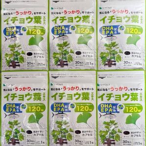 いちょう12ふくろ