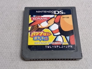 ソフトのみ ニンテンドーDS パワプロクンポケット13