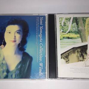 CD「アプリケーション/ウィンズ」山形由美2枚セット