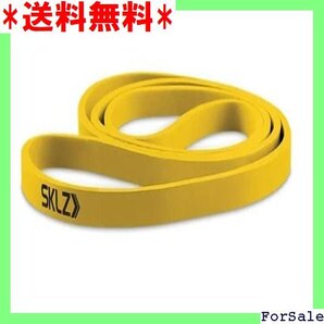 ☆人気商品 SKLZ スキルズ トレーニング用 チューブ プロバンド 21