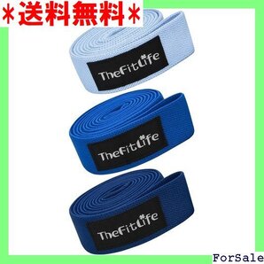 ☆人気商品 TheFitLife トレーニングチューブ 筋トレチュ レジスタンスバンド ストレッチバンド フィットネスバンド 76