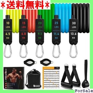 ☆人気商品 iECO トレーニングチューブ チューブトレーニング トレーニングバンド 自宅 筋トレグッズ 説明書・収納袋 83
